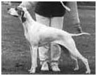 maud-114.jpg